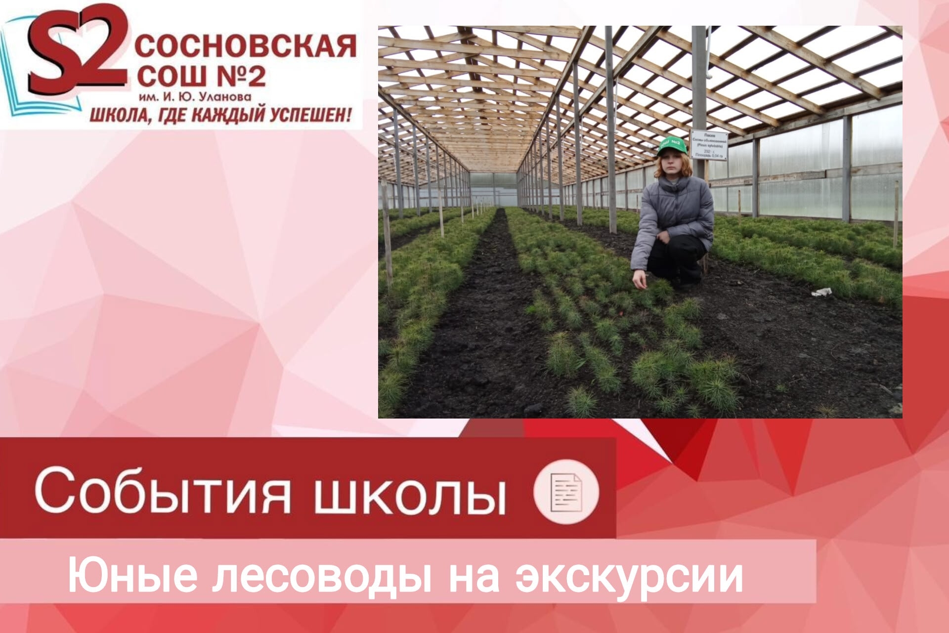 Там, где рождается лес: секреты лесного питомника.